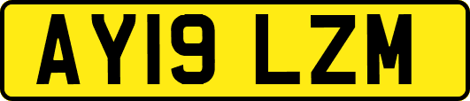 AY19LZM