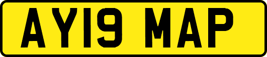 AY19MAP