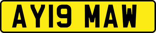 AY19MAW