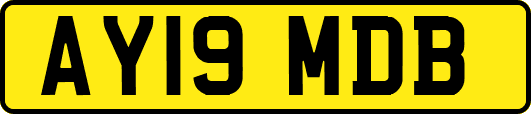 AY19MDB