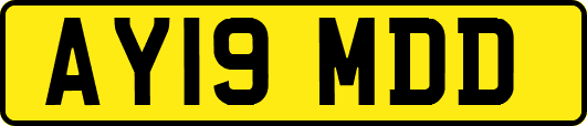 AY19MDD