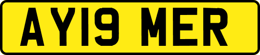 AY19MER