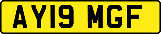 AY19MGF