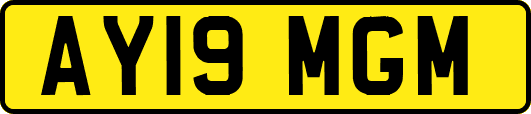 AY19MGM