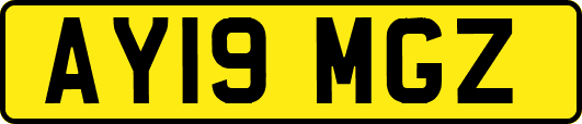 AY19MGZ