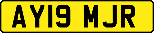 AY19MJR