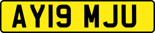AY19MJU
