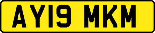 AY19MKM