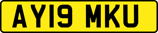 AY19MKU