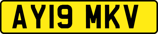 AY19MKV