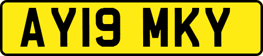 AY19MKY