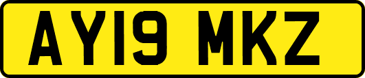 AY19MKZ