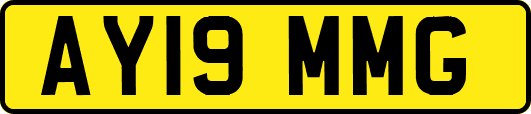 AY19MMG