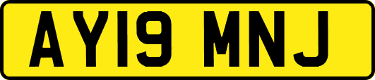 AY19MNJ