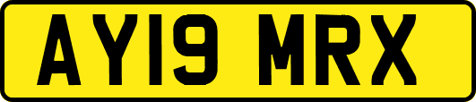 AY19MRX
