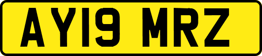 AY19MRZ