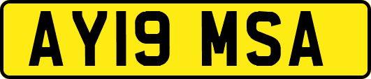 AY19MSA