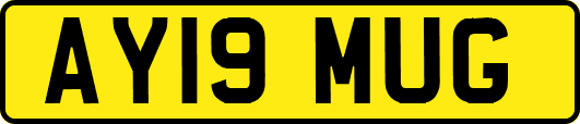 AY19MUG