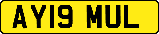 AY19MUL