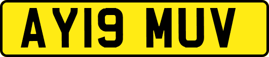AY19MUV