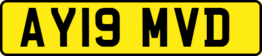 AY19MVD