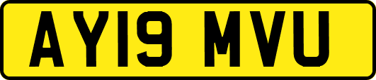 AY19MVU