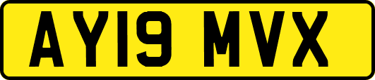 AY19MVX