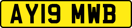 AY19MWB