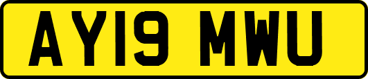 AY19MWU