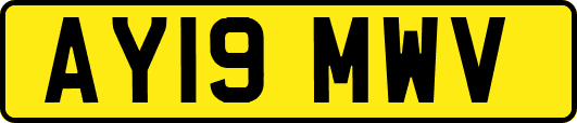 AY19MWV