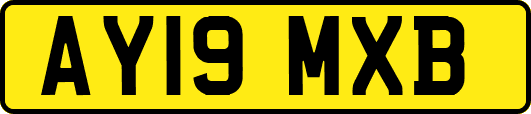 AY19MXB