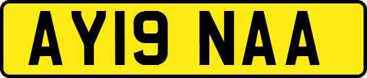 AY19NAA