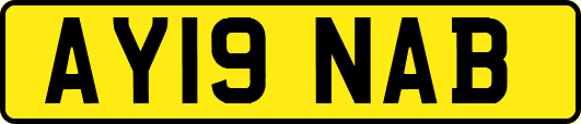 AY19NAB