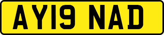 AY19NAD