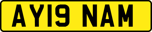AY19NAM