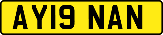 AY19NAN