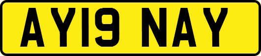 AY19NAY
