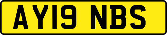AY19NBS