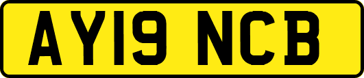 AY19NCB