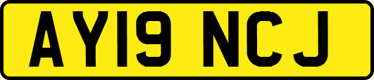 AY19NCJ