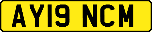 AY19NCM