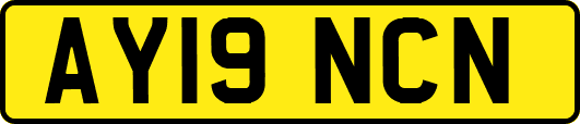 AY19NCN