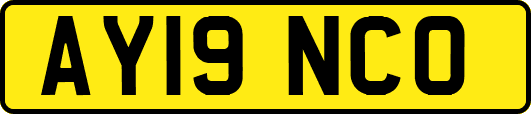 AY19NCO
