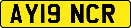 AY19NCR