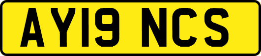 AY19NCS