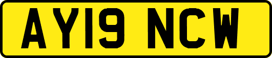 AY19NCW