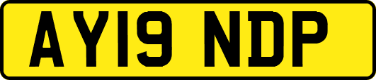 AY19NDP