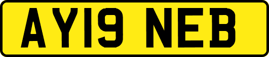 AY19NEB