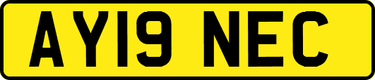 AY19NEC