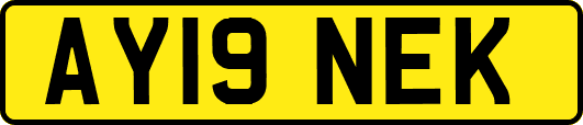 AY19NEK